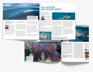 Marine Biology, HD Png Download, Free Download