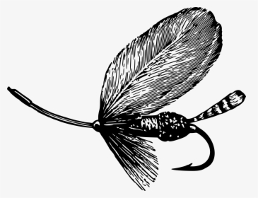 All Photo Png Clipart - Fly Fishing Images Black And White, Transparent Png, Free Download