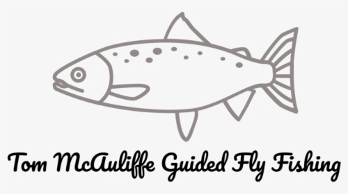 Fly Fishing Png, Transparent Png, Free Download