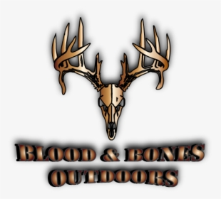 Deer, HD Png Download, Free Download