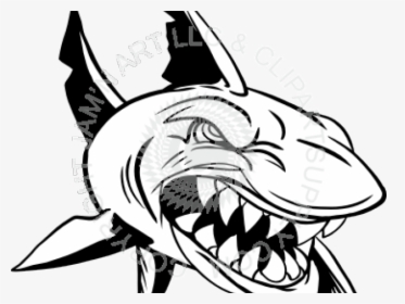 Transparent Shark Clipart - Mako Shark Head Drawing, HD Png Download, Free Download