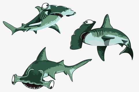 Shark, Fish, Hammer, Predator, Cartoon, Character - Cá Mập Đầu Búa Hoạt Hình, HD Png Download, Free Download
