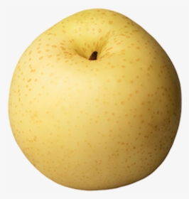 Asian Pear Png - Korean Pears Good For You, Transparent Png, Free Download