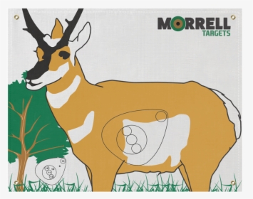 Antelope Polypropylene Archery Target Face - Antelope Target, HD Png Download, Free Download