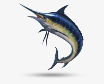 Marlin - Marlin Fish, HD Png Download, Free Download