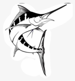 Atlantic Blue Marlin Drawing Billfish Marlin Fishing - Black And White Blue Marlin, HD Png Download, Free Download