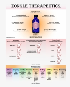 Witch Hazel - Essential Oil, HD Png Download, Free Download
