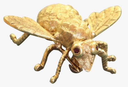 Estate 14 K Large Bug Pin With Ruby Eyes , Png Download - Honeybee, Transparent Png, Free Download