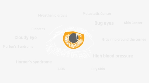 Circle, HD Png Download, Free Download