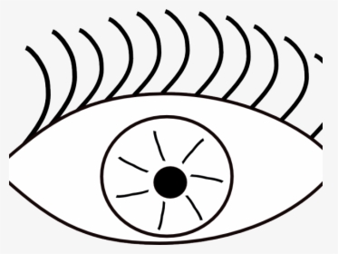 Eyeball Clipart Eye Shape - Sense Of Sight Clipart, HD Png Download, Free Download