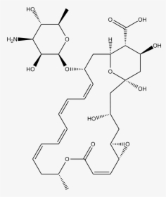 Diagram, HD Png Download, Free Download