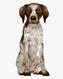 German Shorthaired Pointer Png - German Shorthaired Pointer, Transparent Png, Free Download