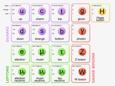 Standard Model Of Particle Physics, HD Png Download, Free Download