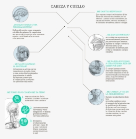 Diagram, HD Png Download, Free Download
