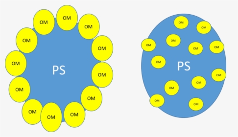 Circle, HD Png Download, Free Download