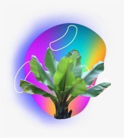 Transparent Vaporwave Palm Tree Png - Plantas Tropicales Png, Png Download, Free Download