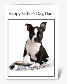 From Dog Father"s Day Newspaper Humor Greeting Card - Boyfriend Lover Happy Fathers Day, HD Png Download, Free Download