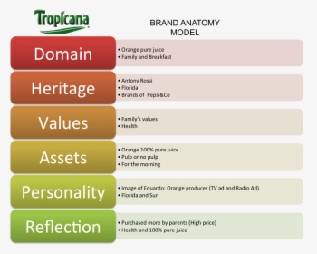 Brand Anatomy Model, HD Png Download, Free Download