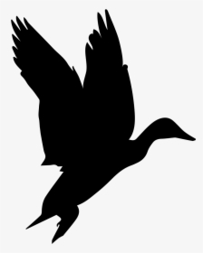 Bird Waterfowl Shape - Black Birds Gif No Background, HD Png Download, Free Download