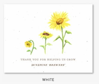 Sunflower Business Thank You Cards - Sunflower To Invitation Card, HD Png Download, Free Download