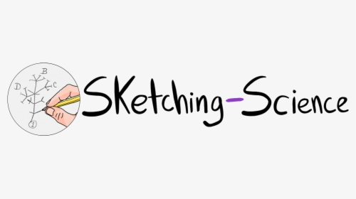 Sketching Science - Calligraphy, HD Png Download, Free Download