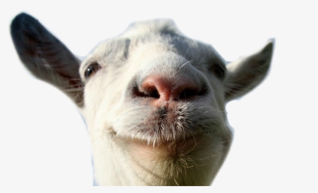 Transparent Goat Simulator Logo Png - Goat Head Transparent Background, Png Download, Free Download