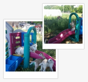 Picture - Playground Slide, HD Png Download, Free Download