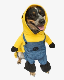 Minion Dog Costume - Dog Costume Png, Transparent Png, Free Download