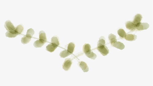 Transparent Olive Wreath Png - Floral Design, Png Download, Free Download