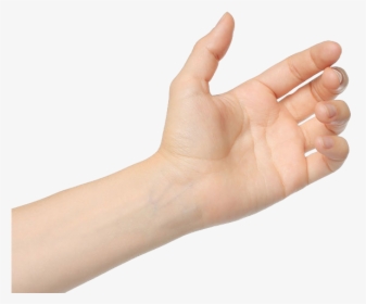 Wrist-image - Hand Curled, HD Png Download, Free Download