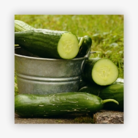 Cucumbers - Alimentos Que Contienen Aluminio, HD Png Download, Free Download