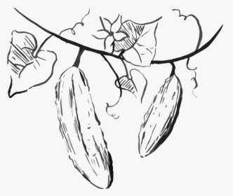 Line Art, HD Png Download, Free Download