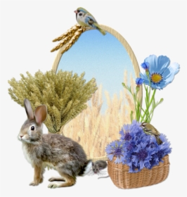 Cluster Wheatfields - Rabbit, HD Png Download, Free Download