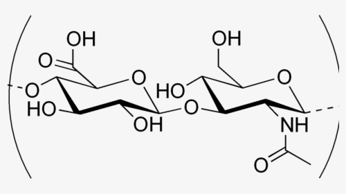 New Cause Of Epilepsy Discovered - Ha Hyaluronic Acid Structure, HD Png Download, Free Download
