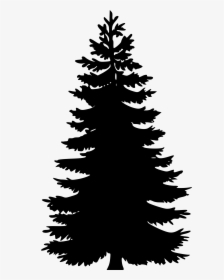 Vector Pine Tree Png, Transparent Png, Free Download