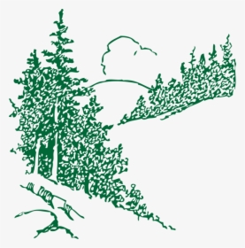 Twig Vector Conifer - Swift Outdoor Accessible Recreation, HD Png Download, Free Download