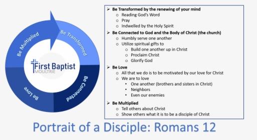 Portrait Of A Disciple - Circle, HD Png Download, Free Download