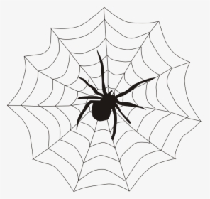 Spider, Spider"s Web, Spiderweb, Cobweb, Creepy - Spider On A Web Clipart, HD Png Download, Free Download