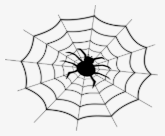 Spider On Spider Net - Spider Man Web In Drawing, HD Png Download, Free Download
