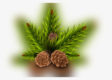 Conifer Cone, HD Png Download, Free Download