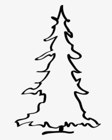 Conifer1tn - Christmas Tree, HD Png Download, Free Download
