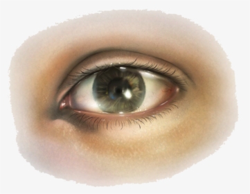 Human Eye Png - Human Eye Transparent Png, Png Download, Free Download