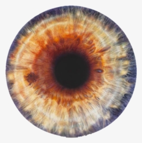 Edit, Eye, And Fire Image - Marc Quinn We Share Our Chemistry, HD Png Download, Free Download