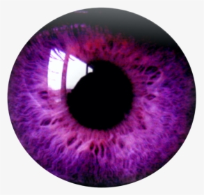 Eye Png Purple - Purple Eye Transparent Background, Png Download, Free Download