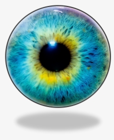 Happens To Your Eyes When You Have, HD Png Download, Free Download