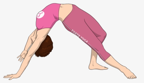 Wild Thing Yoga Pose Geometry Of Yoga - Yoga Related To Math, HD Png Download, Free Download