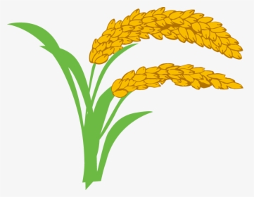Oryza Sativa Wheat Clip - 禾 稻, HD Png Download, Free Download