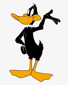 Daffy Duck Png, Transparent Png, Free Download