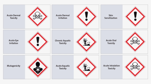 Cheminformatics 9 Hazard Endpoint Pictograms - Faresymboler Lab, HD Png Download, Free Download