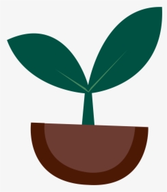Tomato Plant Clipart - Plant Sprout Clipart, HD Png Download, Free Download